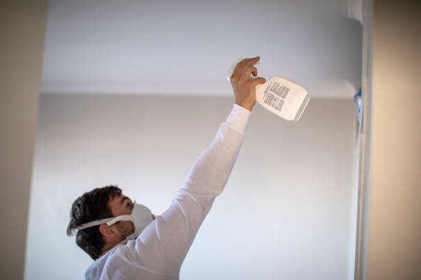 Best Black Mold Removal  in Waynesboro, PA