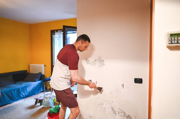 Best Mold Remediation Experts  in Waynesboro, PA